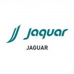 Jaguar Logo JSG client