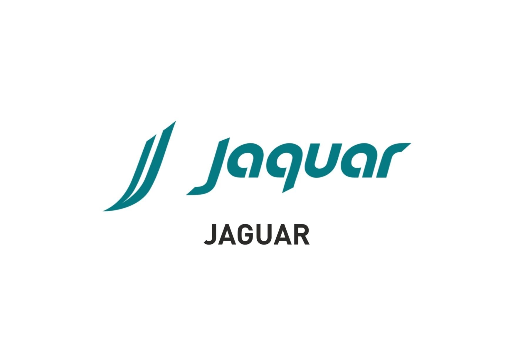 Jaguar Logo JSG client